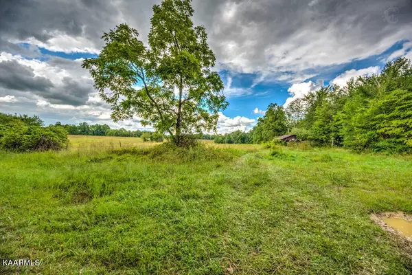 Deer Lodge, TN 37726,0 Stanley Cooper Rd