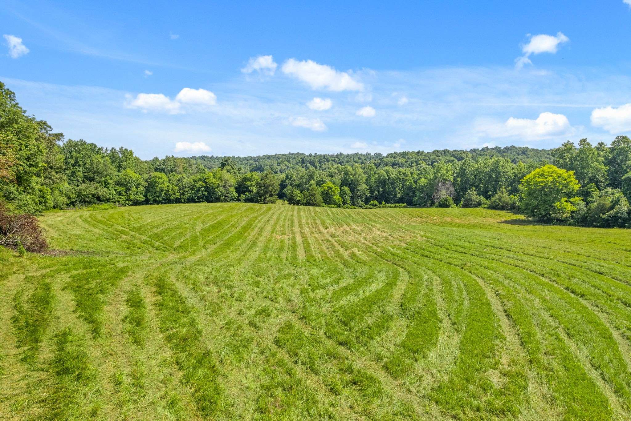 Cunningham, TN 37052,1 Bryant Hollow Rd