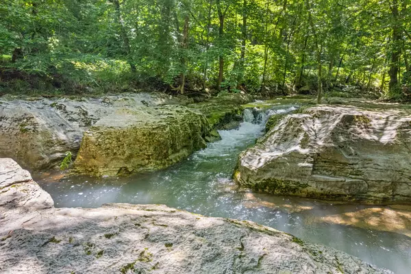 Cunningham, TN 37052,1 Bryant Hollow Rd
