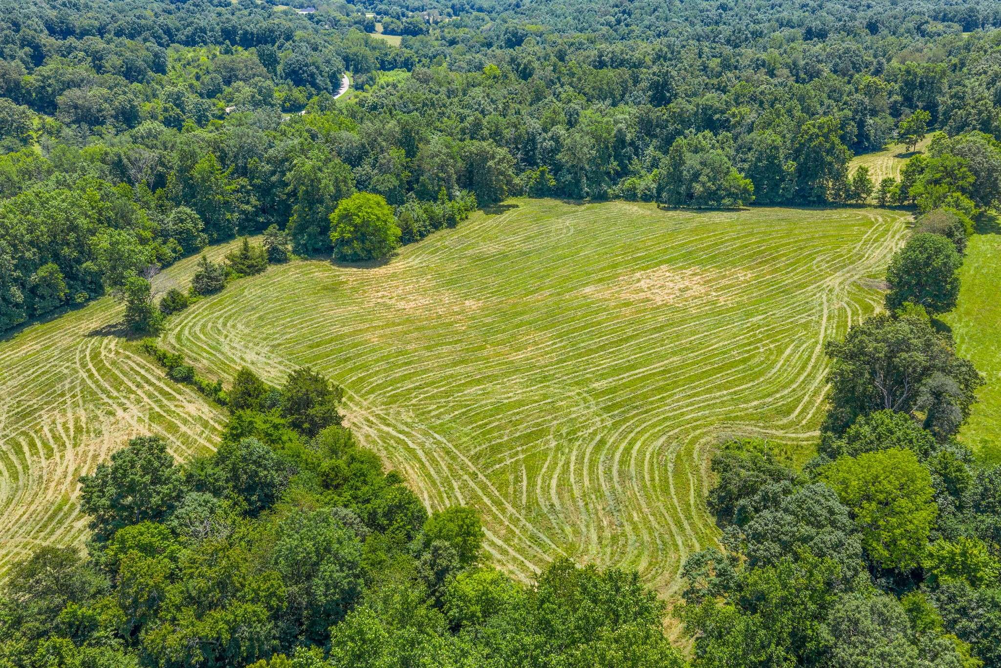 5367 Bryant Hollow Rd, Cunningham, TN 37052