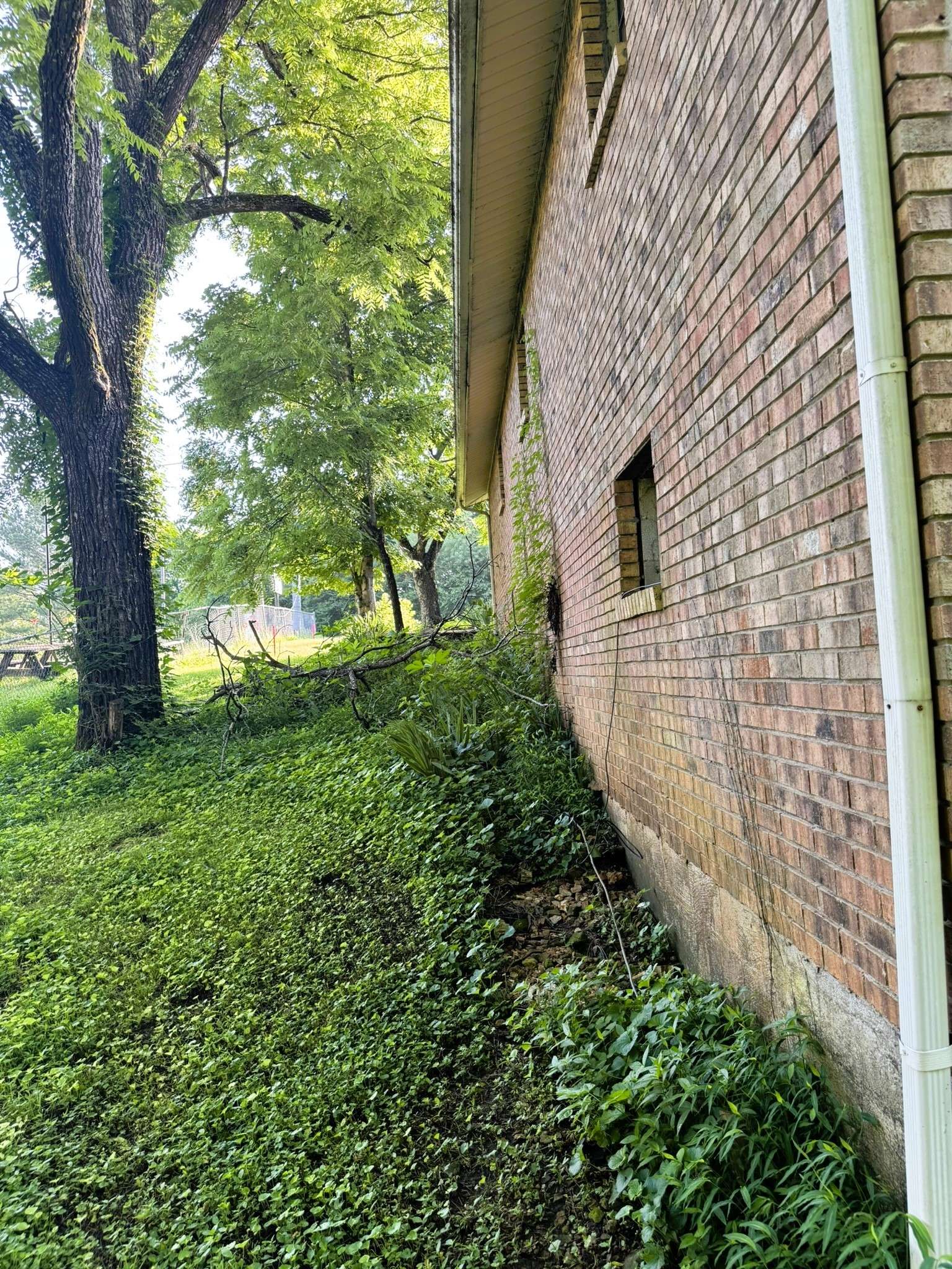 Bumpus Mills, TN 37028,3023 Highway 120