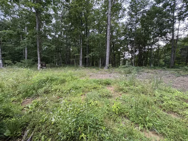 Altamont, TN 37301,1117 Deer Run