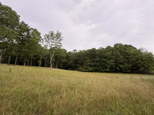 Altamont, TN 37301,1117 Deer Run