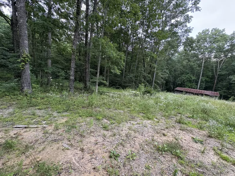 1117 Deer Run, Altamont, TN 37301