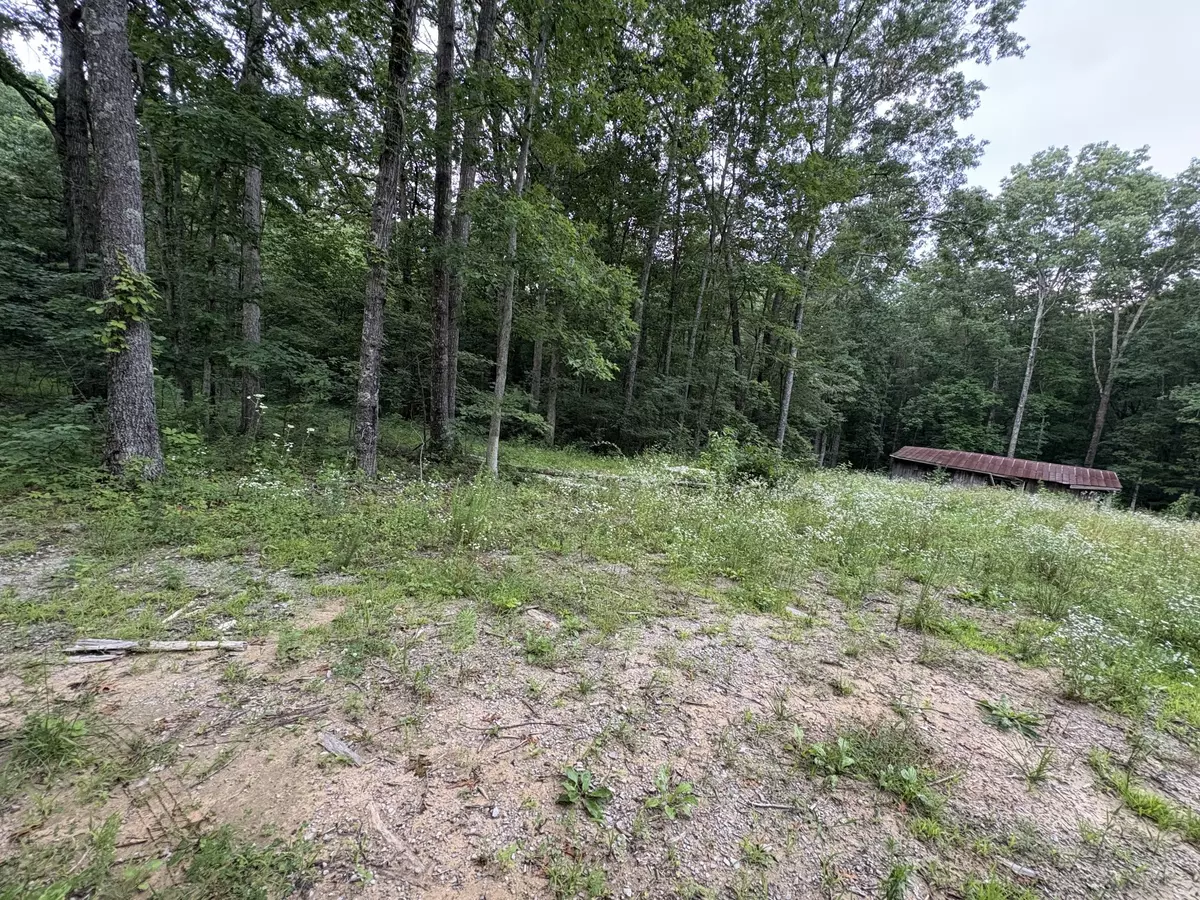 Altamont, TN 37301,1117 Deer Run