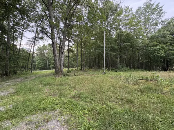 Altamont, TN 37301,1117 Deer Run