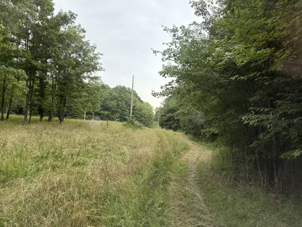 Altamont, TN 37301,1117 Deer Run