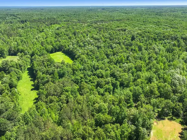 Holladay, TN 38341,0 Hohammer Rd