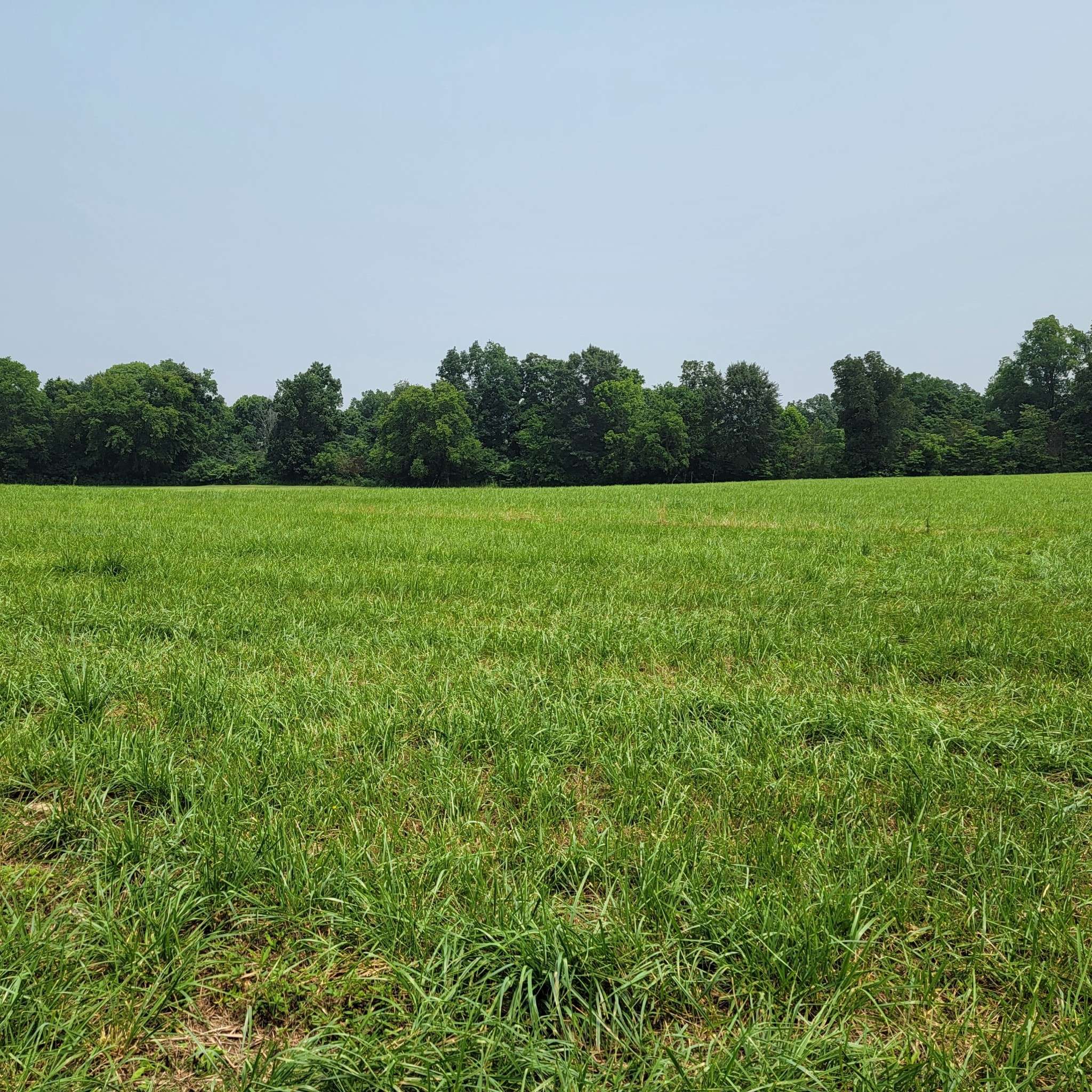 0 Red River School Rd, Portland, TN 37148