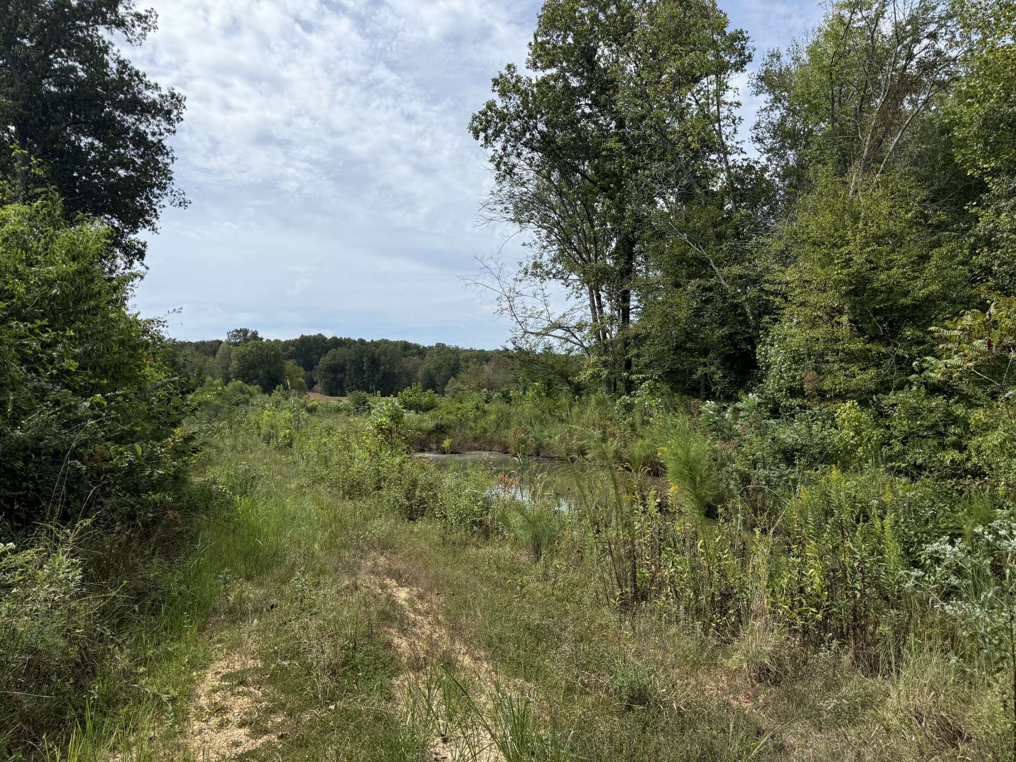 0 Stones Rd, Camden, TN 38320
