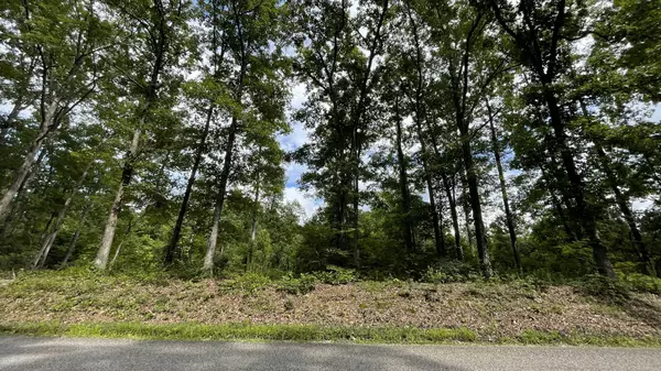 Holladay, TN 38341,0 Pugh Rd