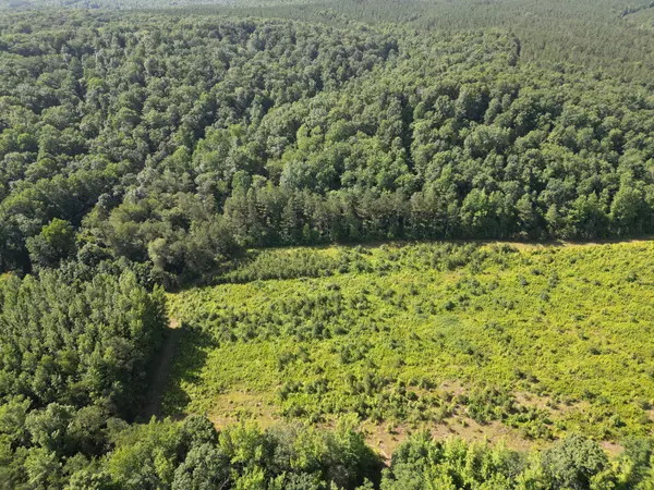 Centerville, TN 37033,0 Brushy Road