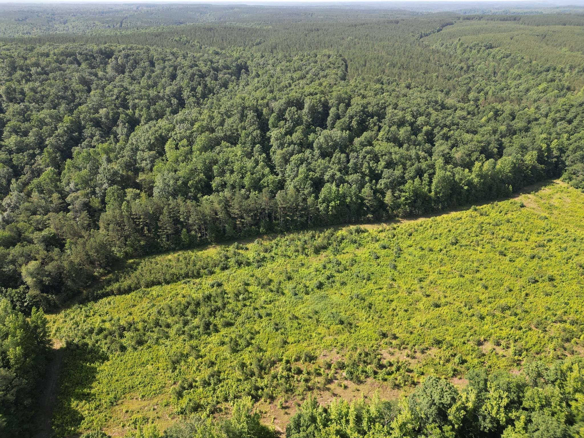 Centerville, TN 37033,0 Brushy Road