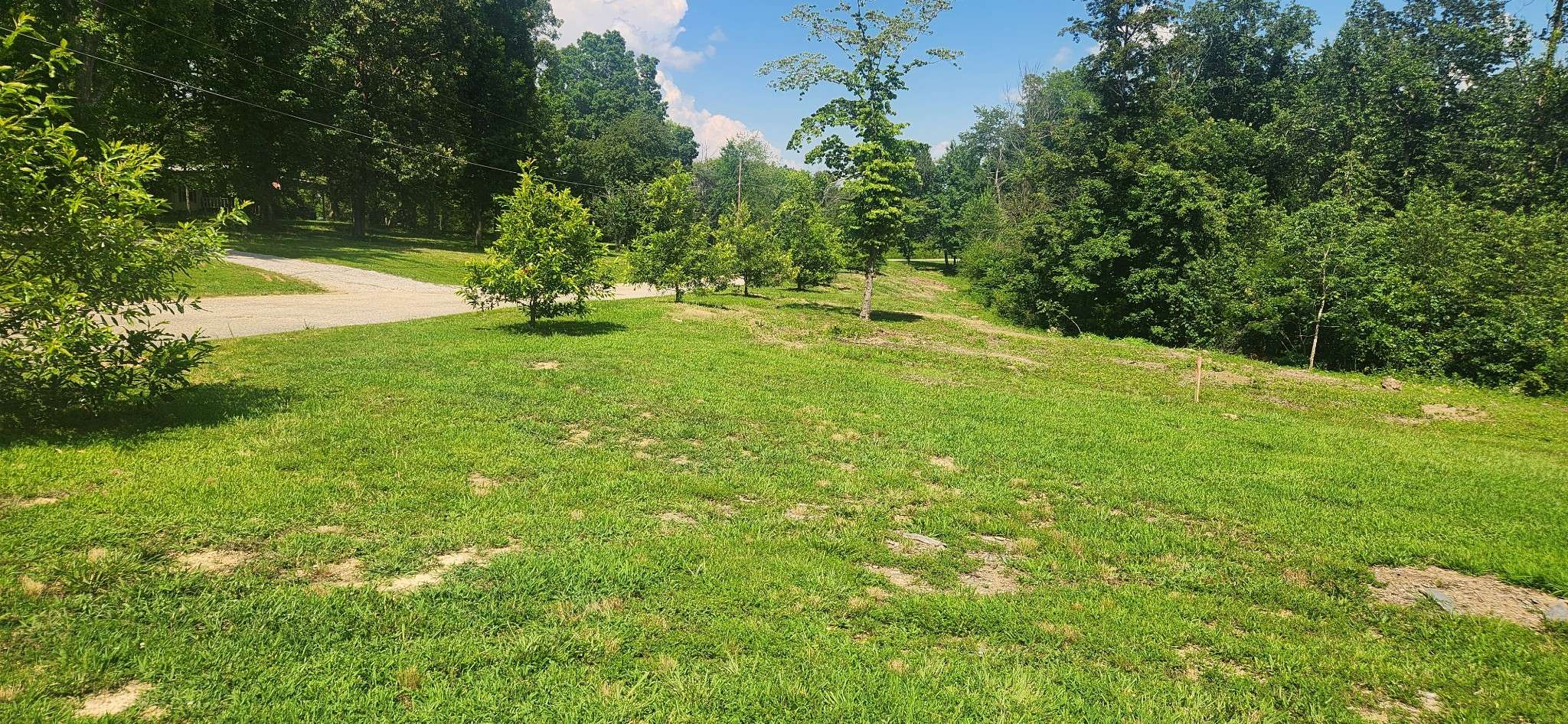 Lyles, TN 37098,0 Sanders Rd