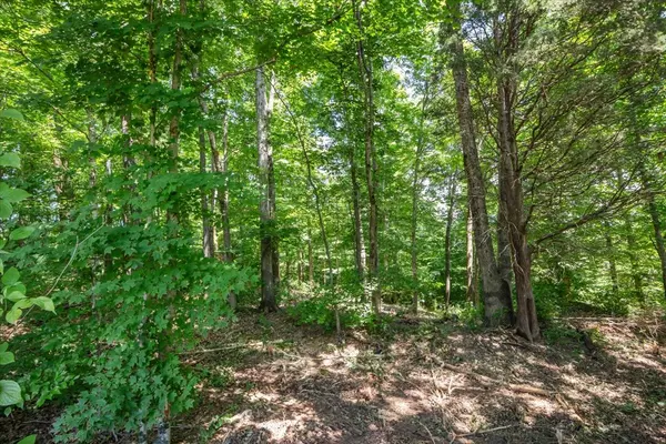 Charlotte, TN 37036,0 Hunley Branch Rd