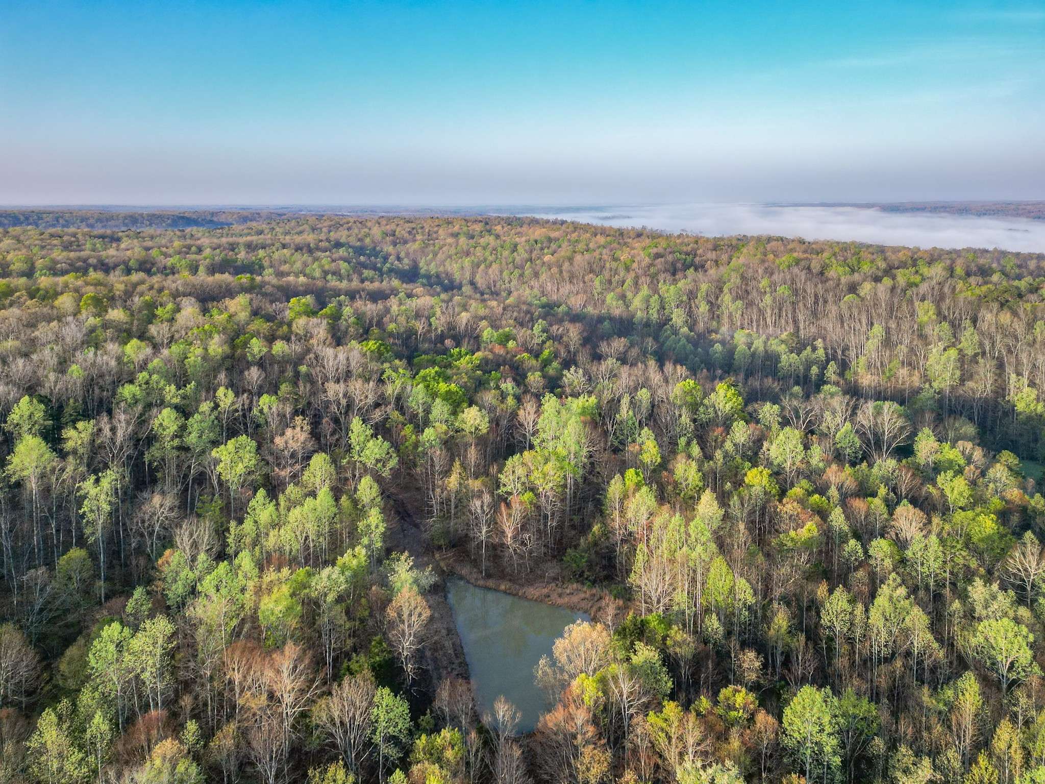 0 Pinewood Rd, Nunnelly, TN 37137