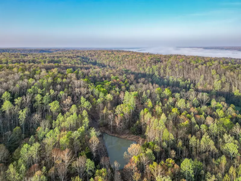 0 Pinewood Rd, Nunnelly, TN 37137