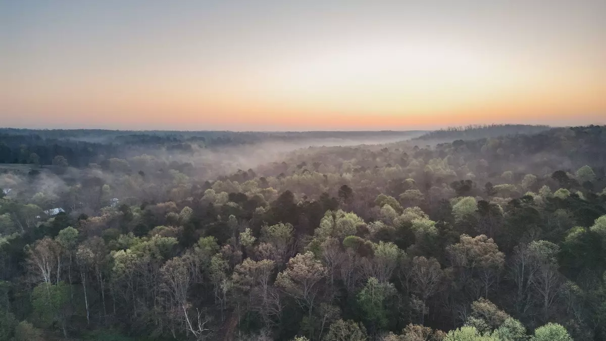 Nunnelly, TN 37137,0 Pinewood Rd
