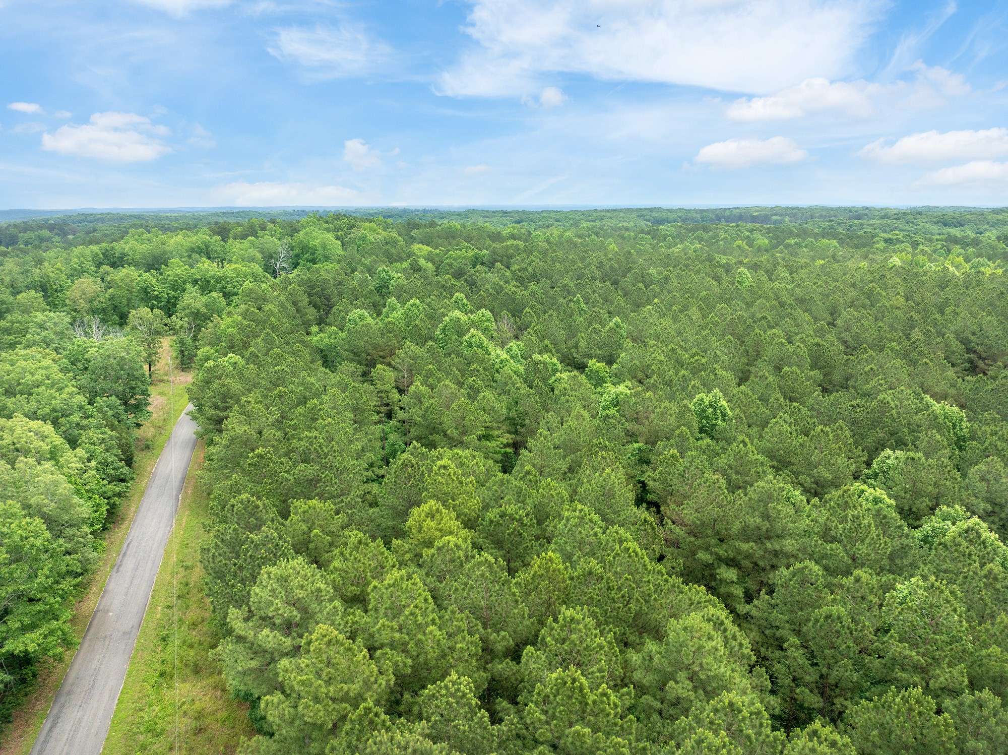 Enville, TN 38332,0 Cash School Rd