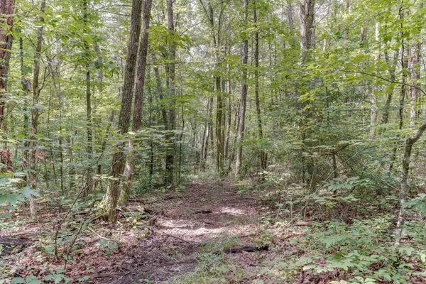 Monteagle, TN 37356,484 Deer Lick Trail