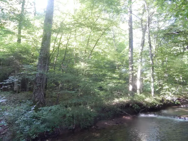 Iron City, TN 38463,3795 Wayland Springs Rd