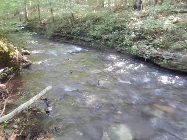 Iron City, TN 38463,3795 Wayland Springs Rd