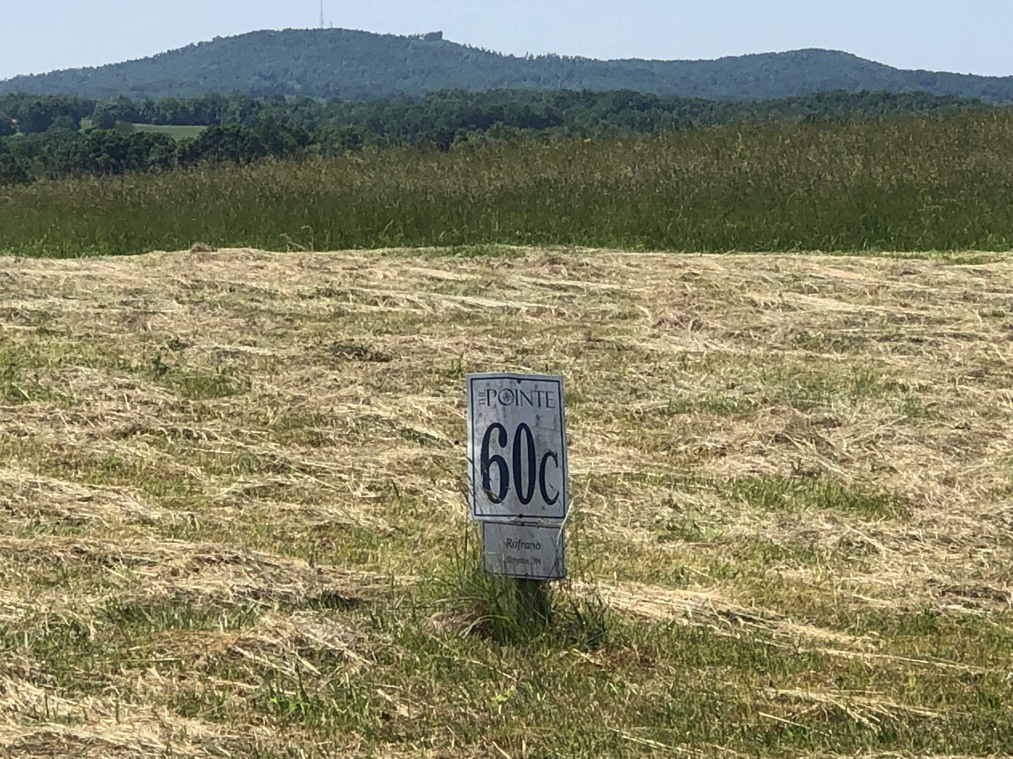 Hilham, TN 38568,60C Walleye Rd