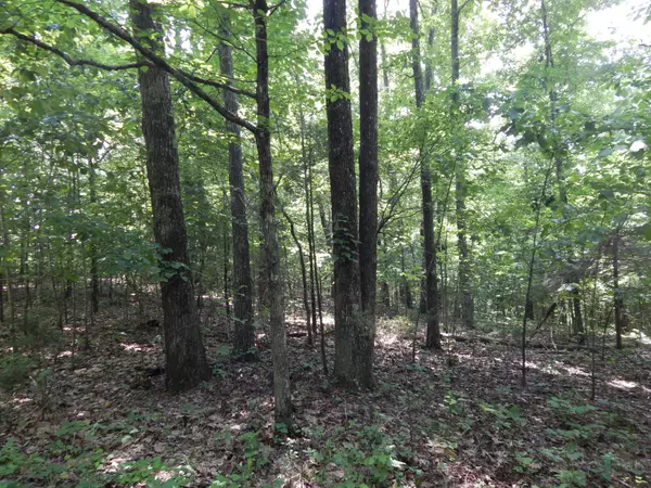 Collinwood, TN 38450,1479 Railroad Bed Rd