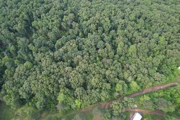 Summertown, TN 38483,0 Webb Rd Ext