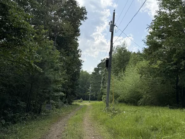 Summertown, TN 38483,0 Webb Rd Ext