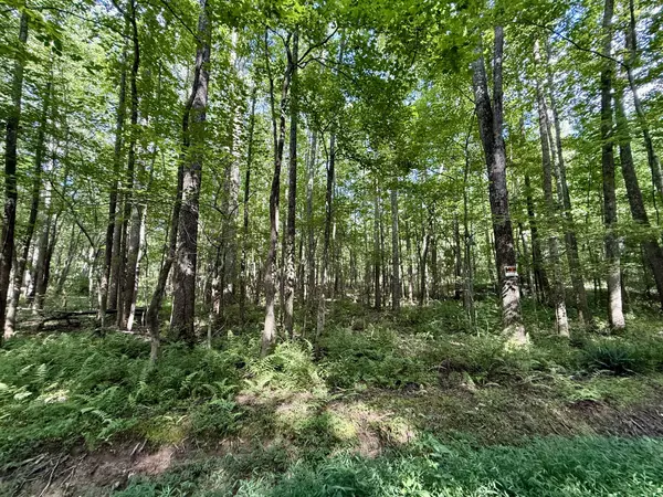 Summertown, TN 38483,0 Webb Rd Ext