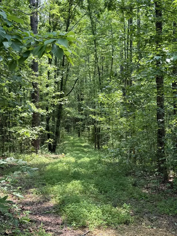 Summertown, TN 38483,0 Webb Rd Ext