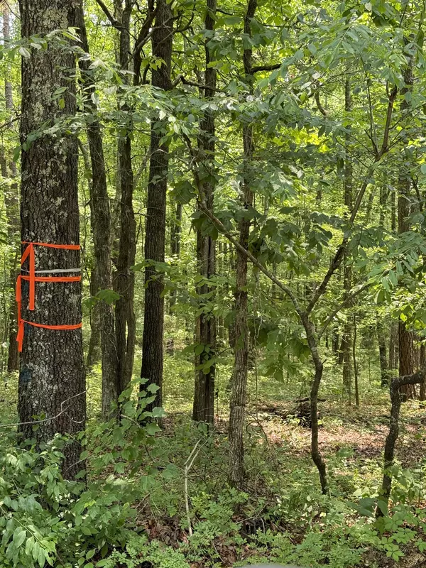 Summertown, TN 38483,0 Webb Rd Ext