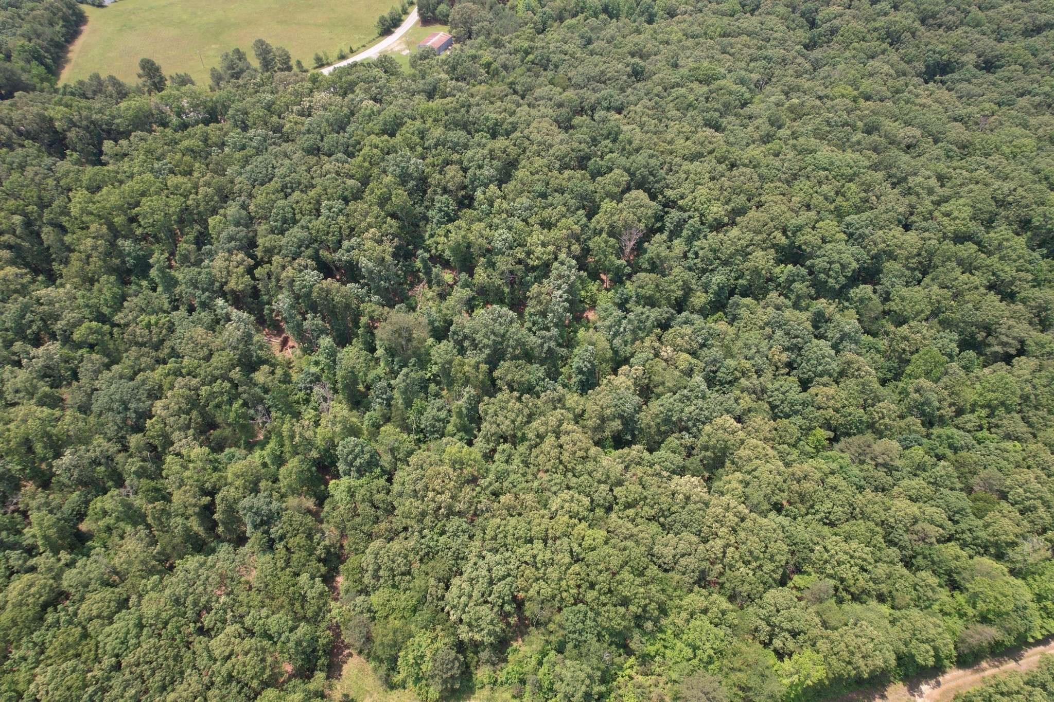 0 Webb Rd Ext, Summertown, TN 38483