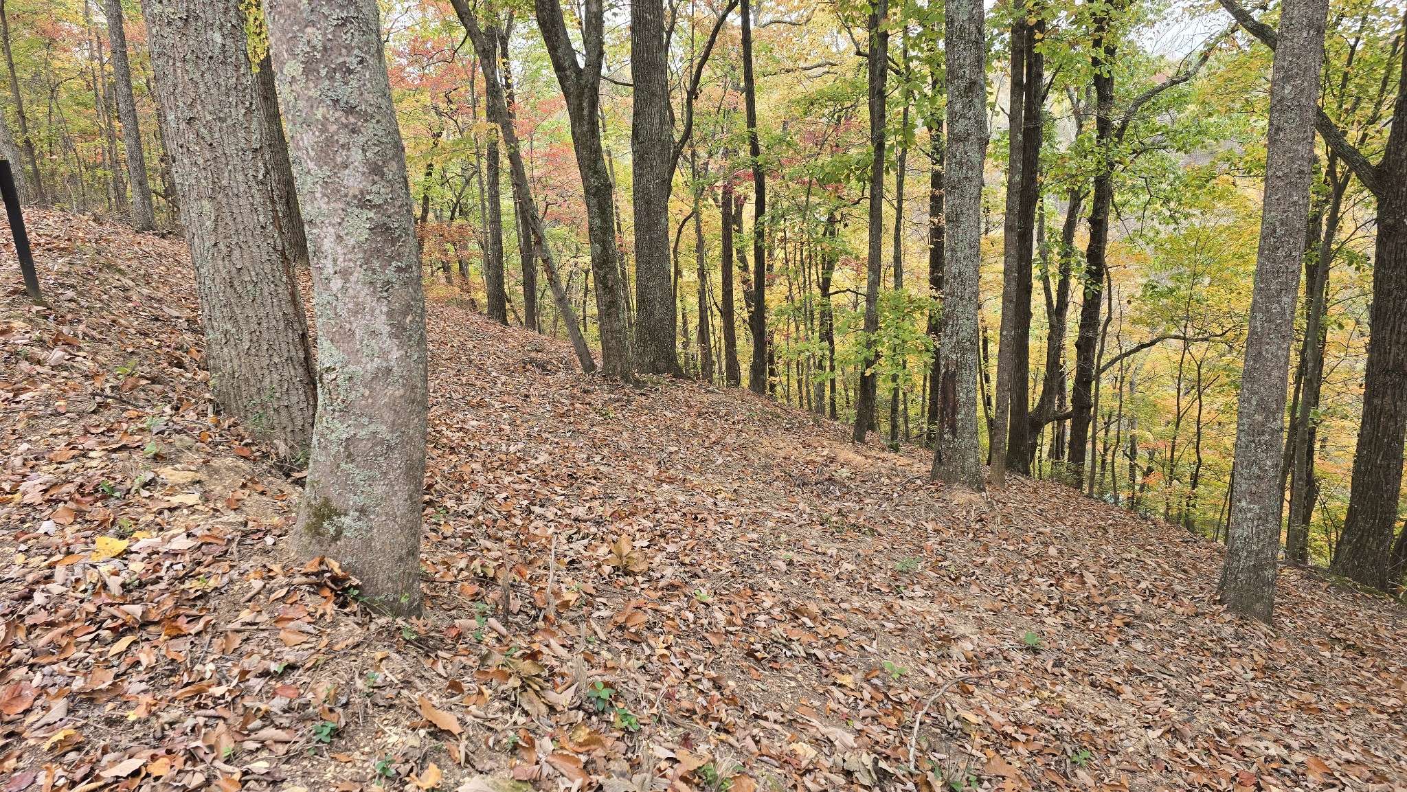 Smithville, TN 37166,3 Savannah Dr