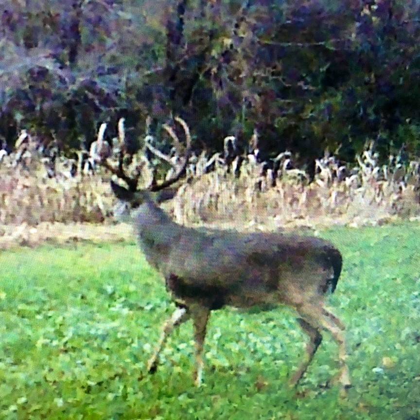 Fayetteville, TN 37334,0 Lynchburg Highway