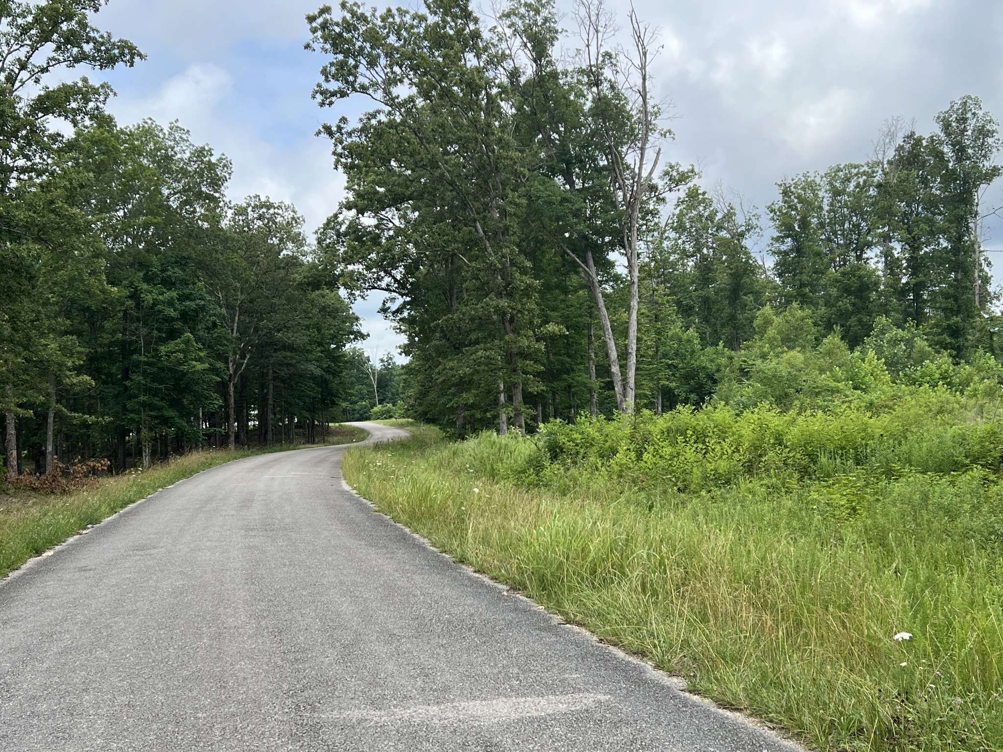 Primm Springs, TN 38476,0 Slaughter Rd