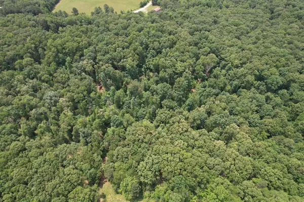 Summertown, TN 38483,0 Webb Rd Ext