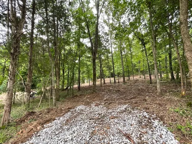 3 Chapel Hill Rd, Southside, TN 37171