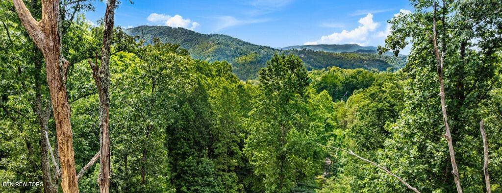 0 E Kings Ridge Rd, Gatlinburg, TN 37738