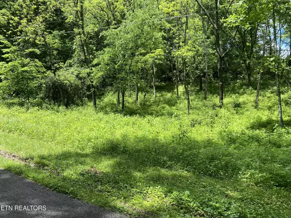 Clinton, TN 37716,0 N Slope Lane