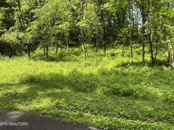 Clinton, TN 37716,0 N Slope Lane