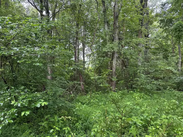 Palmer, TN 37365,3 Saw Mill Road