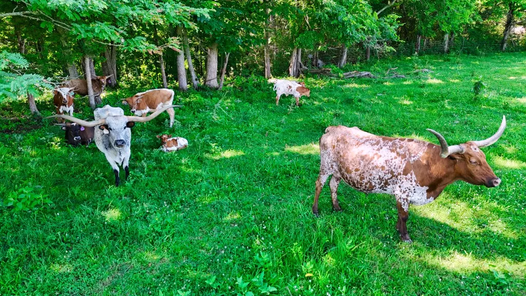 1024 TN 64, Shelbyville, TN 37160