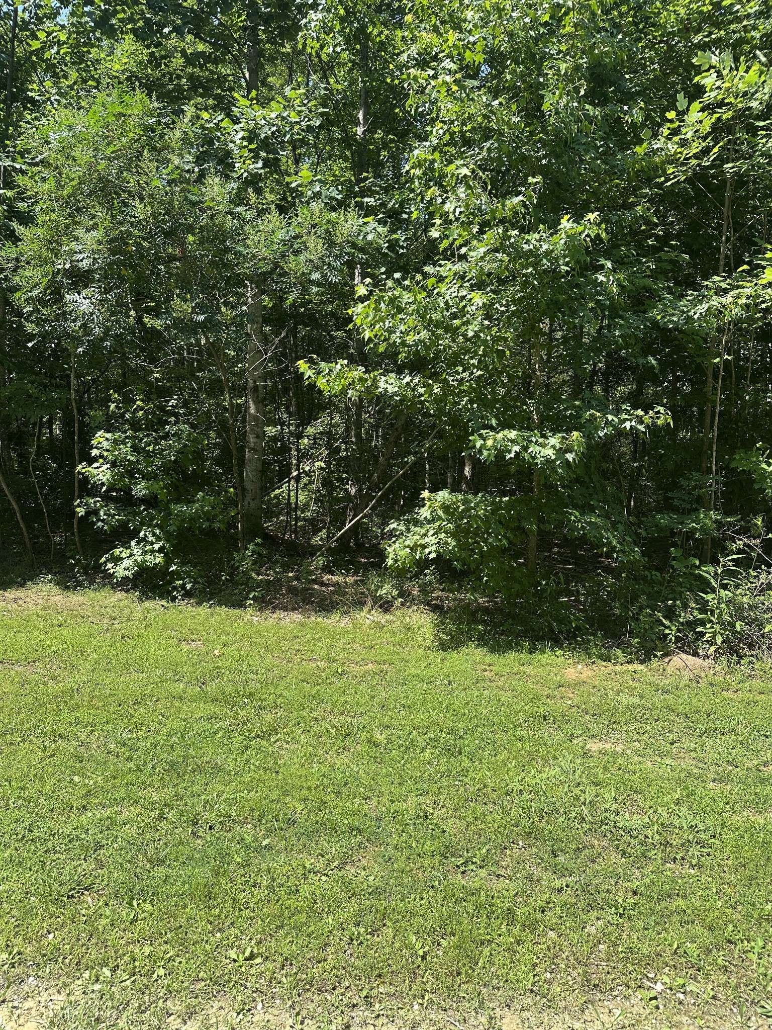 Monteagle, TN 37356,68 Fireside Ct