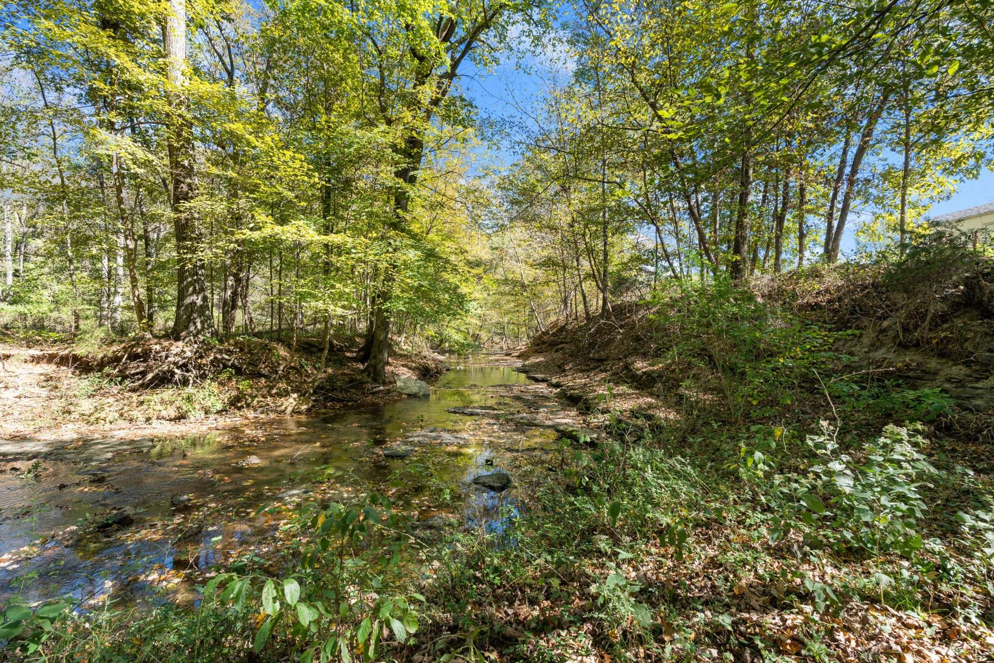 1036 Kaity Brooke Rd, Portland, TN 37148