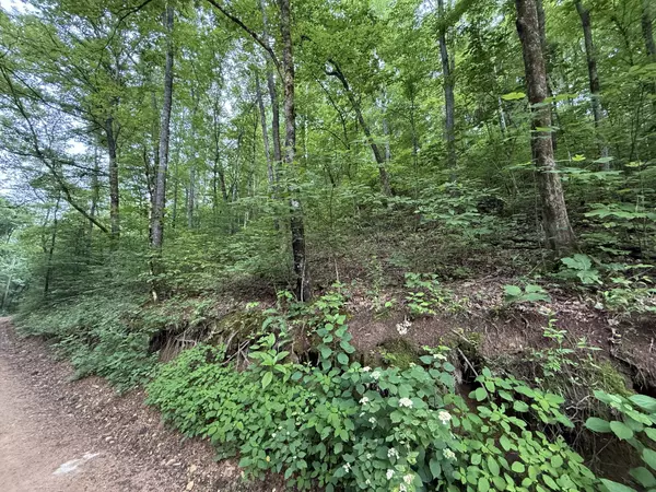 Centerville, TN 37033,0 Hassell Creek Rd