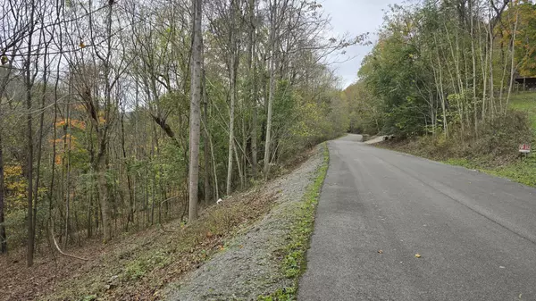 Smithville, TN 37166,85 Blackberry Ridge Way