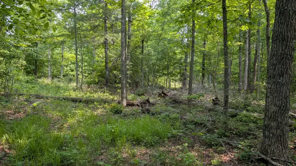 Crossville, TN 38572,6152 Tomahawk Dr