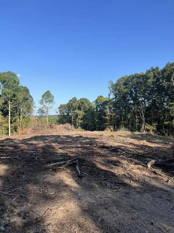 0 Grindstone Hollow, Dickson, TN 37055